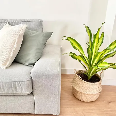 El Encanto De El Coto *